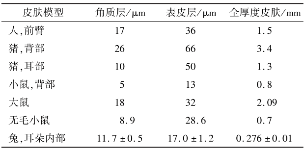表４ IVPT常用動物模型相對于人的皮膚層厚度